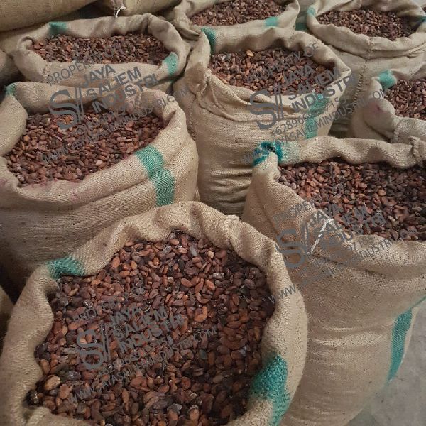Cocoa beans from 인도네시아 supplied by JAYA SALIEM INDUSTRI - Sun Dried 코코아콩