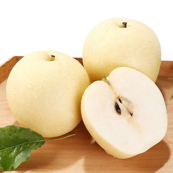 Fresh Pear from 중국 supplied by Xiamen Sino Orchard Industry Co. Ltd - Asian Pear