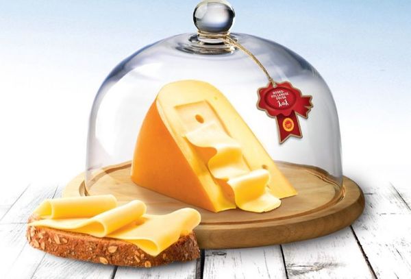 North Holland Gouda Cheese from 네덜란드 supplied by Zijerveld Food - Sliced 고다 치즈