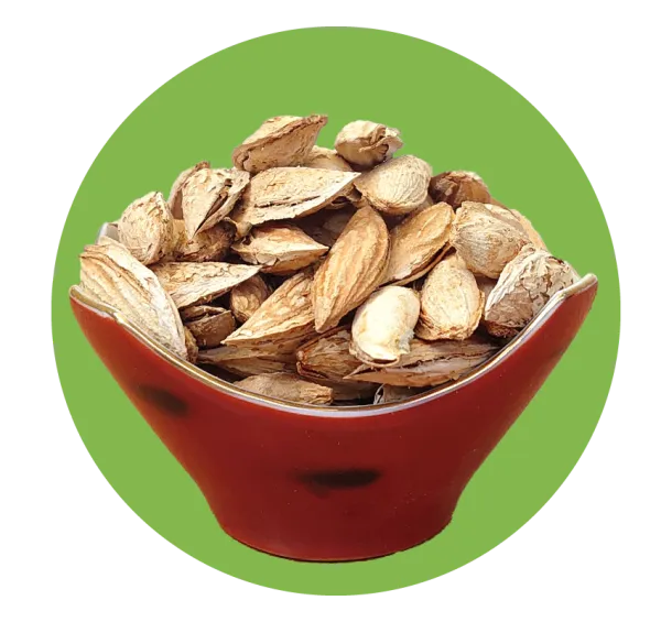 Almond from 아프가니스탄 supplied by Faisal Fahim Company - Dried 아몬드 알맹이