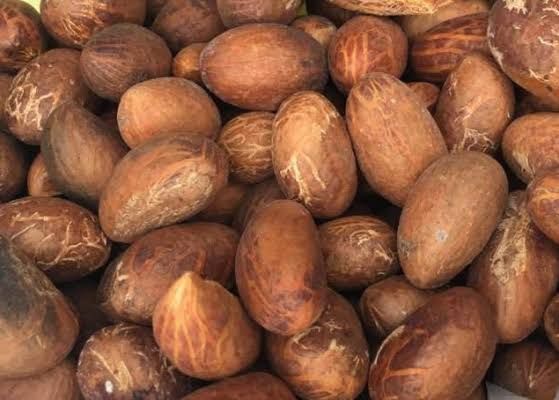 Bitter (Garcinia) Kola from 나이지리아 supplied by Agrikfarms Resources - A (30-50 g) 신선 망고스틴