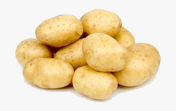Potatoes from 탄자니아 supplied by Wefarmtz Co Ltd - 신선 일반 감자