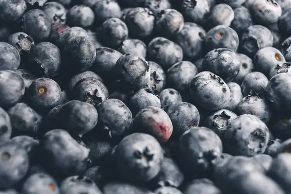 IQF Blueberries from 오스트리아 supplied by B&b Region Fruit GMBH - Frozen - IQF (=Individual Quick Freezing) 신선 블루베리