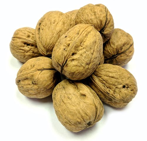 Walnut from 미국 supplied by C.P.RICHARDS & SON LIMITED - In-shell 생호두