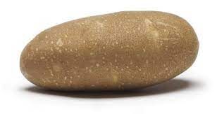 Highland Russet Potato from 캐나다 supplied by Atlantic Potato Distributors - Russet Varieties 신선 일반 감자