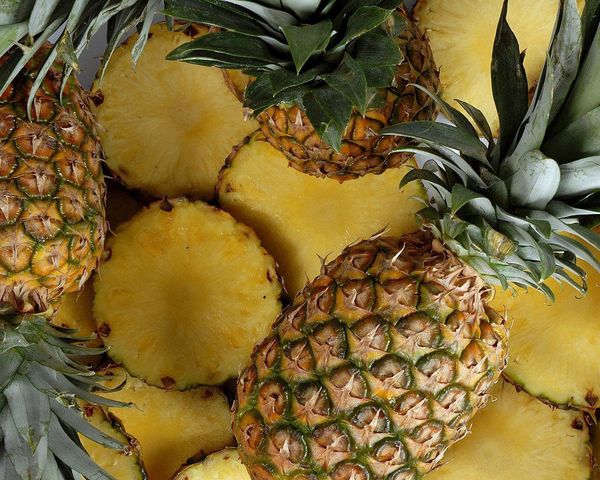 Pineapples from Netherlands supplied by Cool Point BV - Citrozone - High Quality Fresh Pineapple