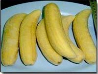 IQF Whole Banana from Thailand supplied by Vanda Preserved Food Co., Ltd. - Gros Michel - Hom Thong Banana Fresh Banana