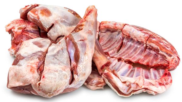 Goat Meat from 이탈리아 supplied by DI TELLA SRL - Slaughtered 산양육