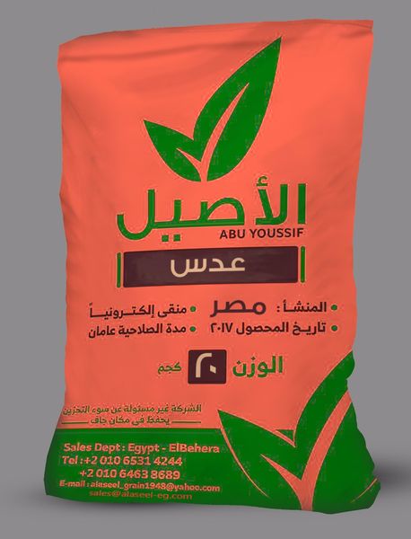 Lentil from 이집트 supplied by Alaseel Abu-Yousif Company - 말린 렌틸