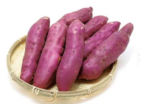 Fresh Sweet Potato from 인도네시아 supplied by PT. INDOLARVA MEDIA GLOBAL - Japanese Sweet Potato - Purple Skin 고구마