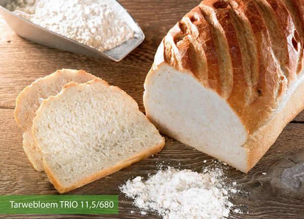 Wheat Flour from Belgium supplied by MOLENS JOYE NV - White Wheat Flour