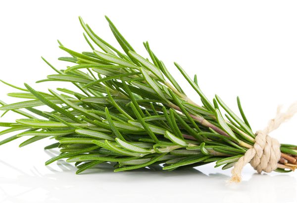 Rosemary from Kenya supplied by Karzal Limited - Excellent Quality Aromatic Herbs