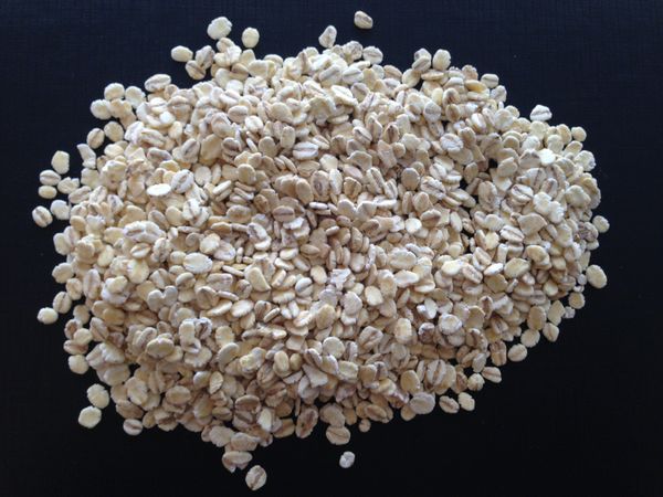 Barley Flakes from 네덜란드 supplied by E. Offeringa BV - White 보리