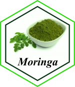 Moringa Extract from Peru supplied by Graderi SAC - Unspecified Moringa