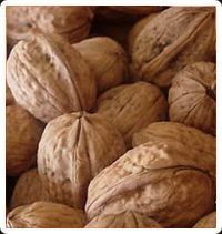 Raw Walnut from 칠레 supplied by Soc. Agricola La Primavera SA - Shelled (=Kernel) 생호두