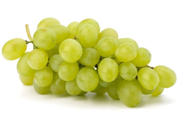Superior Grape from 이집트 supplied by Egytree Company for Agriculture product - Seedless 신선 포도