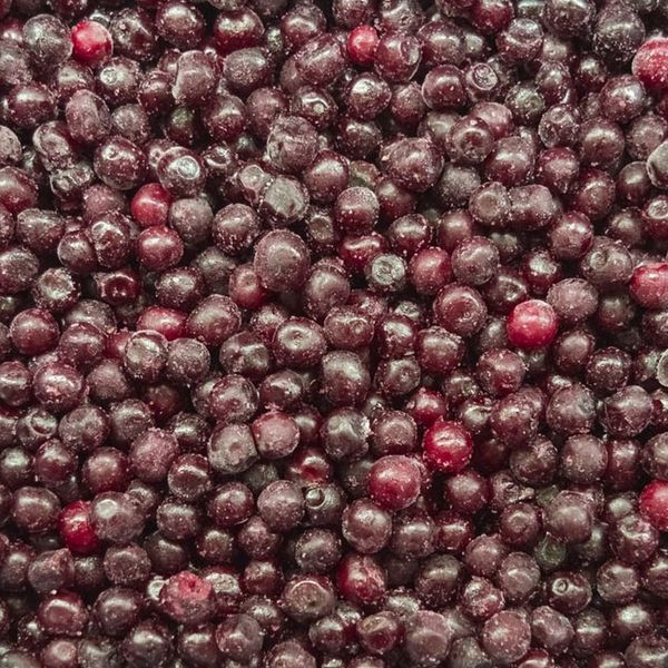 Frozen Sour Cherry from 튀르키예 supplied by Kilic Tarim - Sour Cherry - Queen Anne (=Napoleon=Royal Ann=Queen Ann=Napoleon Bigarreau=Wellington=Monzon) 신선 체리