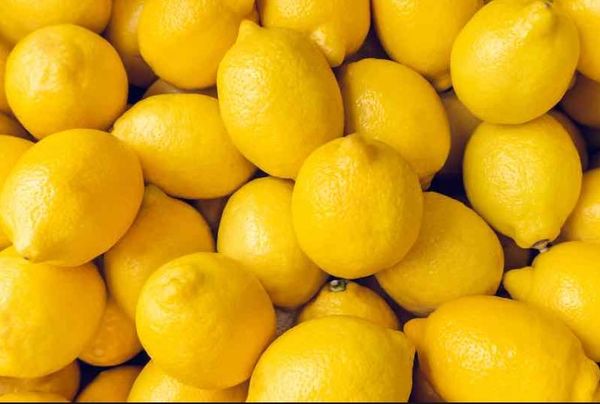 Fresh Lemon from Germany supplied by Fresh-Connection Fruchtimport GmbH - Yellow Fresh Lemon