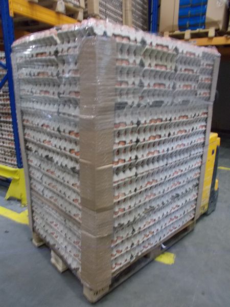 Fresh Chicken Egg from Poland supplied by OLDAR Group Sp. z o. o. - Liquid Chicken Egg