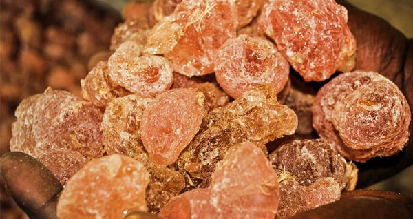 Gum Arabic we are offers the best High Quality Gum Arabic from Sudan supplied by Allan-company-for-multiple-activities - Arabic Gum