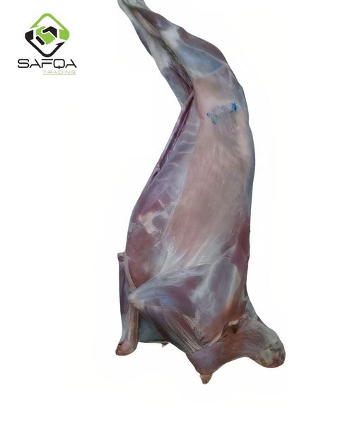 Fresh Halal Chilled Goat Meat from Ethiopia supplied by Safqa Trading - Small East African Goat Goat Meat