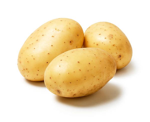 Potato from 벨기에 supplied by Valcke Aardappelen - Premiere 신선 일반 감자