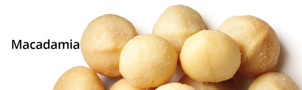 Macadamia Nut from United Kingdom supplied by PREMIER FRUIT & NUT LTD - Whole Kernel Macadamia Kernel