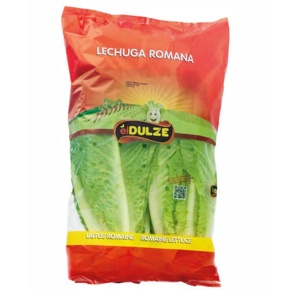 Fresh Lettuce from 스페인 supplied by El Dulze Growers - Salanova 신선 상추