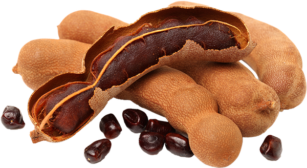 Tamarind from 인도 supplied by Spice Essence International LLP - Sun Dried 건조 타마린드