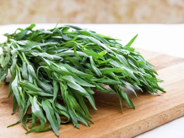 Tarragon from 미국 supplied by W R Hackett Inc - Leaf 타라곤