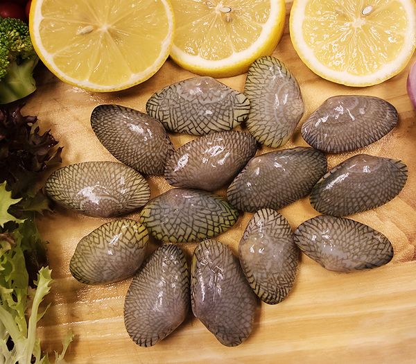 Clam from 말레이시아 supplied by KMC Coldstorage & Warehousing Sdn Bhd - Flower Clam 냉동 조개