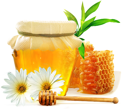 Honey from 남아프리카공화국 supplied by Bee Natural - Raw (=Natural Honey) 꿀
