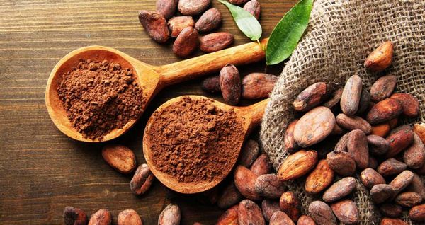 Cocoa from 코트디부아르 supplied by COOPARES - Powder 코코아 파우더
