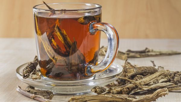 Chicory Root Tea from 남아프리카공화국 supplied by Chicory SA Limited - Dried 허브차