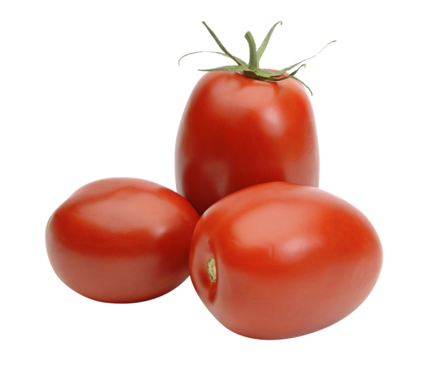 Fresh Tomatoes, Sweet Mediterranean Red Tomatoes from Tunisia supplied by MEDILIFE - Conventional Fresh Tomato