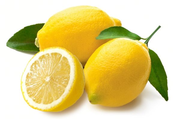 Fresh Lemon from 프랑스 supplied by LLISO SELECT AGRUMES - Whole 신선 레몬