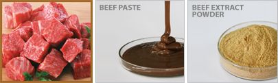 Beef Extract Powder from 인도네시아 supplied by PT. Jinyoung - Powder 혼합 시즈닝