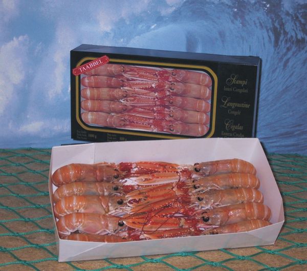 Norway Lobster from Denmark supplied by Taabbel - Frozen Frozen Common Lobster