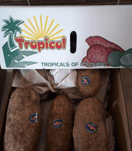 Hawthorn Yam from Colombia supplied by CI TROPICOL SAS - Espino Yam