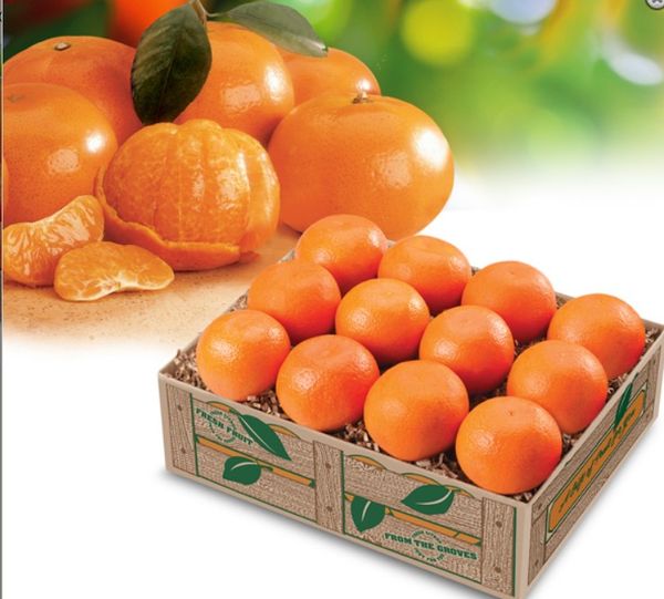 Fresh Mandarin from United States supplied by Davidson Brothers - Whole Fresh Mandarin