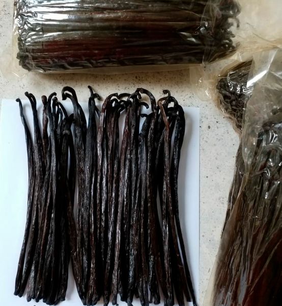 Vanilla from Indonesia supplied by Riefel Trade Company, CV - Tahitensis Vanilla