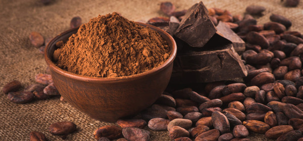 Cocoa Powder from Peru supplied by Dried Foods Peru S.A.C - Organic Cocoa Powder