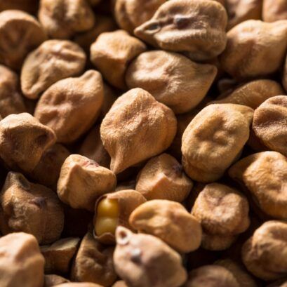 Chickpeas from 호주 supplied by Adams Australia - Dried (=Dehydrated) 말린 병아리콩
