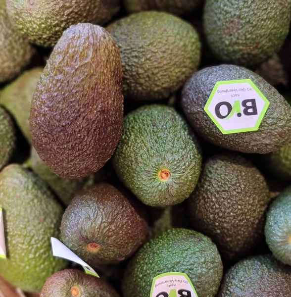 Avocado from 독일 supplied by Hagdorn Tomaten - 짙은 녹색 신선 아보카도
