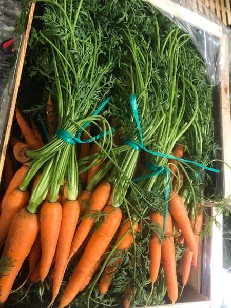 Carrots from 영국 supplied by Veg UK Ltd - Bunched (=With Top) 신선 당근