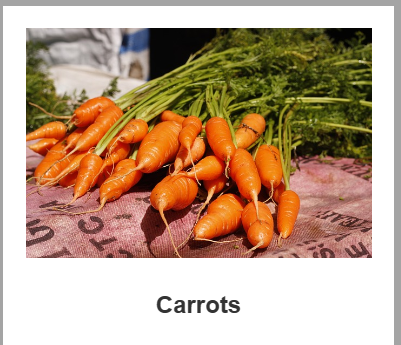 Carrot from 남아프리카공화국 supplied by Brelyn Trading - Orange 신선 당근