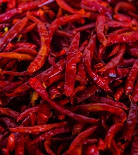 Chili Pepper from Rwanda supplied by Gashora Farm - For Paste Dried Whole Chili Pepper