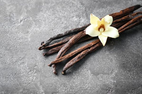 Vanilla Beans from 스리랑카 supplied by Ceylon Aurum Agro Pvt Ltd - Conventional 바닐라