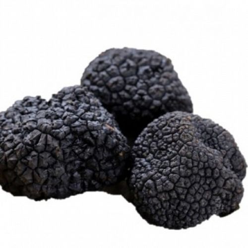Fresh Truffle from 스페인 supplied by FAUNDEZ Gourmet - Scorzone (=Summer) 트러플