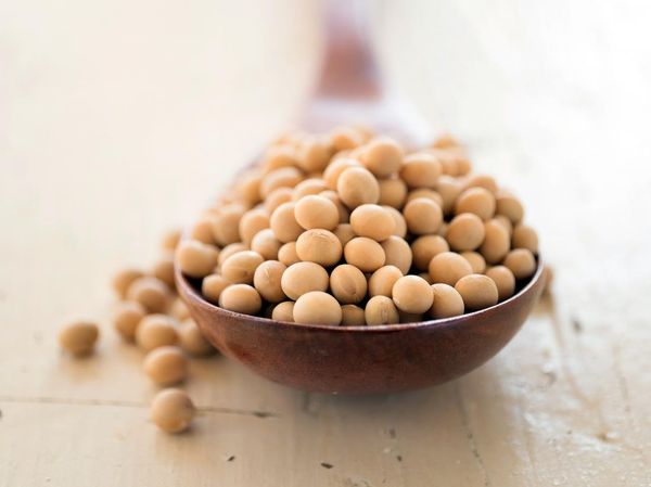Soya Bean from 에티오피아 supplied by Tekhaf Trading PLC - Seed 대두